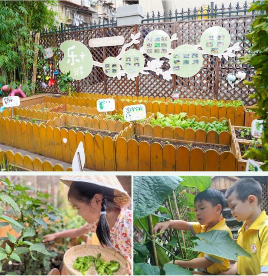 区北湖幼儿园抓牢关键阶段龙8体育入口武汉市江汉