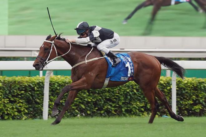 驹戴眼罩夺魁家族曾养香港马王long8唯一网站王经纬赛(图1)